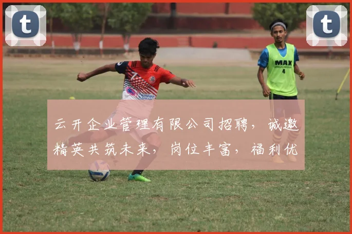 云开企业管理有限公司招聘，诚邀精英共筑未来，岗位丰富，福利优厚，速来加入